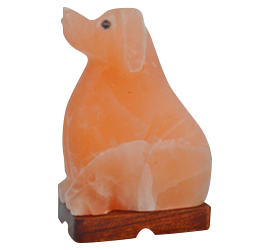 Animal Shapes